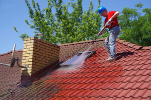 Gutter Cleaning